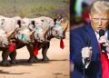 Why RINO Establishment Elites Fear Trump’s Middle-Class Revolution