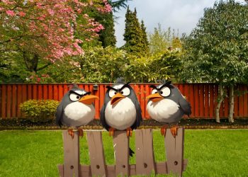 Mutating Bird Flu in Humans – Are We Facing Another Plandemic? What You Need To Know