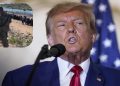 Trump Challenges Birthright Citizenship as Media Misquotes the 14th Amendment