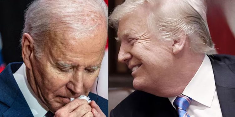 Trump’s Holiday Video Trolls Biden Defenders with Wii Theme Music (VIDEO)