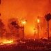 California’s Leadership Fumbles Again as Wildfires Devastate Homes