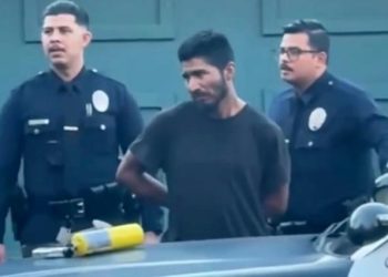 Man Detained With Blowtorch Near Wildfire is an Illegal Alien: Is That Why He Wasn’t Charged With Arson?