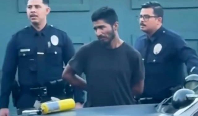 Man Detained With Blowtorch Near Wildfire is an Illegal Alien: Is That Why He Wasn’t Charged With Arson?