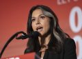 Let’s Take a Look at Some of the People ICE Is Arresting: Tulsi Gabbard Scorches 51 Intel Officials, Hillary Clinton, and the Democrat Party