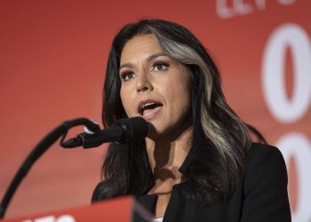 Let’s Take a Look at Some of the People ICE Is Arresting: Tulsi Gabbard Scorches 51 Intel Officials, Hillary Clinton, and the Democrat Party