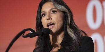 Let’s Take a Look at Some of the People ICE Is Arresting: Tulsi Gabbard Scorches 51 Intel Officials, Hillary Clinton, and the Democrat Party