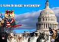 Why Politicians Are Outraged Over DOGE’s Transparency