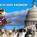Why Politicians Are Outraged Over DOGE’s Transparency