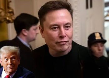 Democrats in Crisis as Internal Chaos and Public Backlash Mount, Left-Wing Activists Target Tesla, Elon Musk