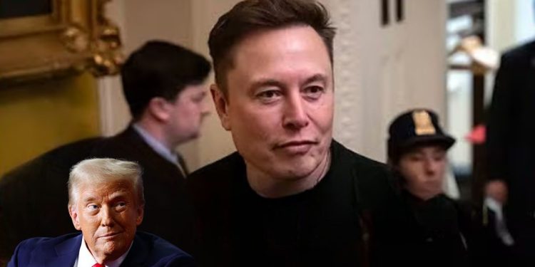 Democrats in Crisis as Internal Chaos and Public Backlash Mount, Left-Wing Activists Target Tesla, Elon Musk