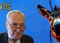Why Even Democrat Voters Are Turning Against Their Own Party