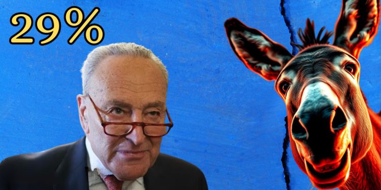 Why Even Democrat Voters Are Turning Against Their Own Party