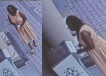 CT GOP Lawmakers Alert AG Pam Bondi After 150 ELECTION FRAUD CHARGES FILED in Bridgeport Democrat Ballot Stuffing Case