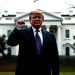 Is Trump Intentionally Crashing the Stock Market? Yes, and It’s All Part of His Brilliant Plan