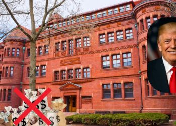 Trump vs. Harvard: The Ivy League Just Got a Reality Check After Trump Cut Off DEI Funding