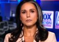 DNI Gabbard: Biden Admin Targeted Political Opponents with ‘Quiet Skies’ Secret Domestic Terror Watch List (VIDEO)
