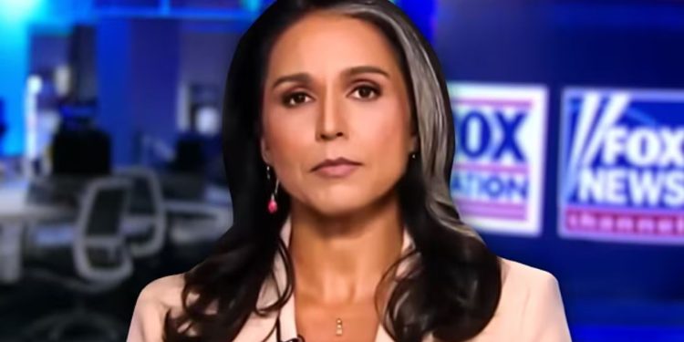 DNI Gabbard: Biden Admin Targeted Political Opponents with ‘Quiet Skies’ Secret Domestic Terror Watch List (VIDEO)