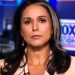 DNI Gabbard: Biden Admin Targeted Political Opponents with ‘Quiet Skies’ Secret Domestic Terror Watch List (VIDEO)