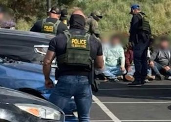 ICE Nabs Rapists, Child Predators, Gang Members In Deportation Blitz: Judges and Democrats are Attorneys for the Defense