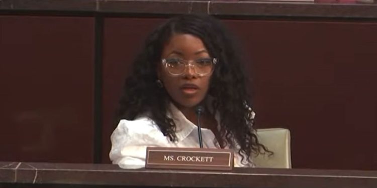 Jasmine Crockett Melts Down During DOGE Committee Hearing Demanding Elon Musk Testify (VIDEO)