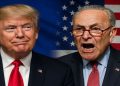 Trump’s EU Trade Triumph Sends Schumer Into a Senate Meltdown (VIDEO)