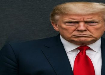 Wall Street Journal Begs Trump to Settle After Epstein Letter Hoax Backfires