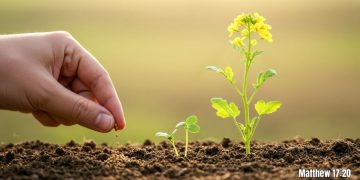 The Power of a Mustard Seed Kind of Faith