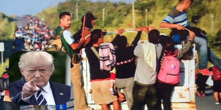 GOP’s Rough Night Still Shows Strength on Immigration