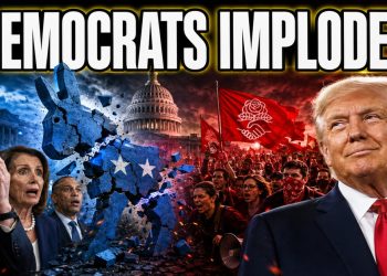 The DSA Takeover Is Becoming a Democratic Nightmare